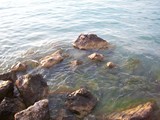 Corsica 06.2011 023