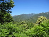 Corsica 06.2011 063