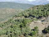 Corsica 06.2011 131