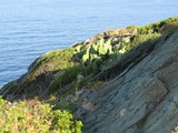 Corsica 06.2011 164