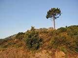 Corsica 06.2011 193