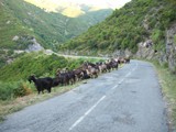 Corsica 06.2011 242