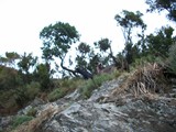 Corsica 06.2011 243