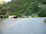 Corsica 06.2011 244