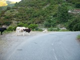 Corsica 06.2011 246