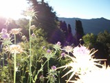 Corsica 06.2011 249