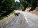 Corsica 06.2011 364