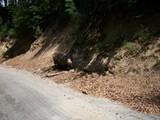 Corsica 06.2011 365
