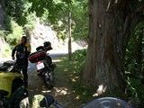 Corsica 06.2011 366