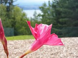 20200718_103202